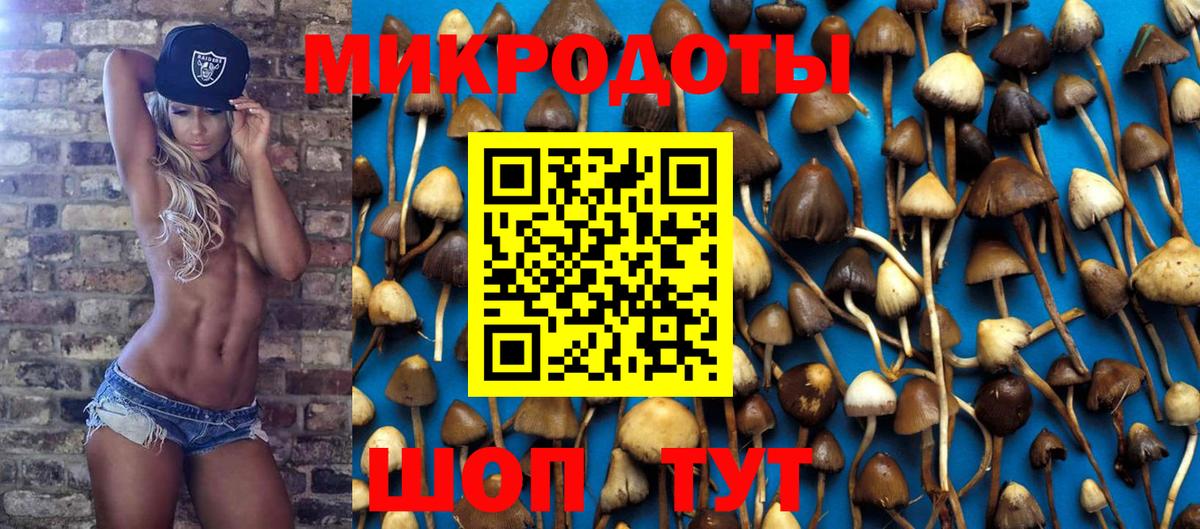 купить   Псилоцибиновые грибы Psilocybine cubensis  Вход с VPN  Джанкой 
